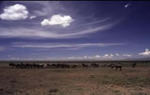 Photos of the World, Peter ngorogorocrater, tansania, kenya, roads, masai