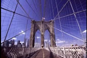 Photos of the World, Peter Reitze, USA, New York City, Manhattan, Bridges, Buildings, Night Shots, Central Park, Skyline, Reflections, Bull, UN, Brooklyn Bridge