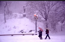 Photos of the World, Peter Reitze, almond blossom, snow