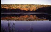 Photos of the World, Peter Reitze, USA, Massachusetts, New York, North Carolina, Rhode Island, Washington State